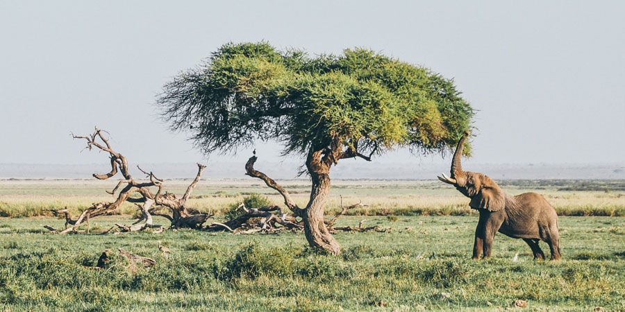 harshil gudka 449487 unsplash l